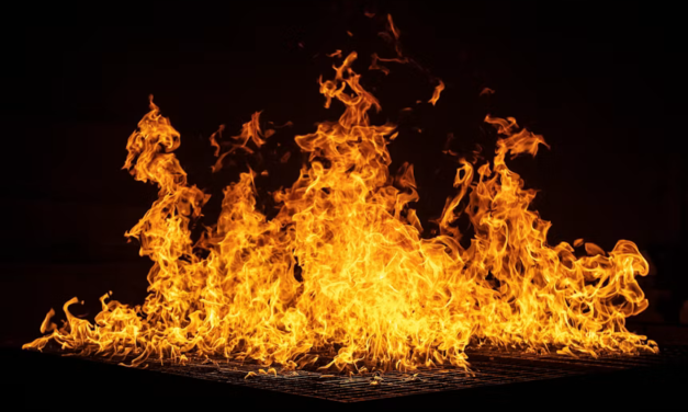 Brush Fire in Nevada Grows to Over 10,500 Acres