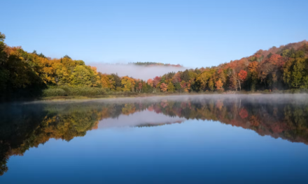 Majority of Americans Reject Trump’s Canada Tariffs and Lake Ontario Rename