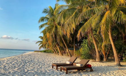 Parents and Schools Debate Whether Children Should Miss Classes for Family Vacations