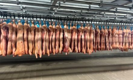 Is Your Carbonara Safe? Over 1,500 Pounds of Imported Italian Pork Recalled