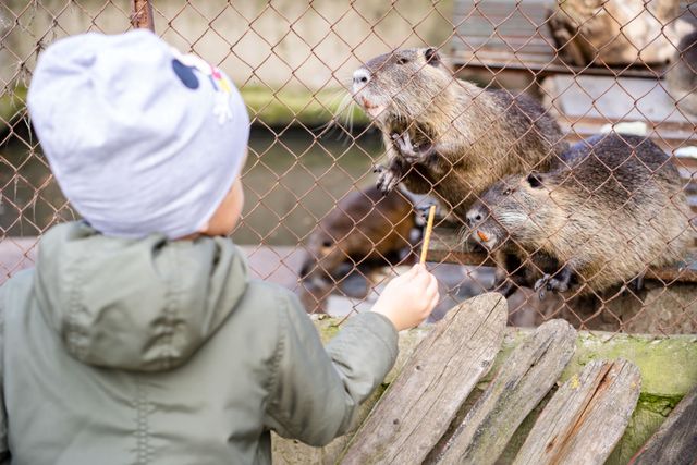 Brews, Brats, and Flamingos: L.A. Zoo’s Zootoberfest Is Back With Unlimited Fall Vibes