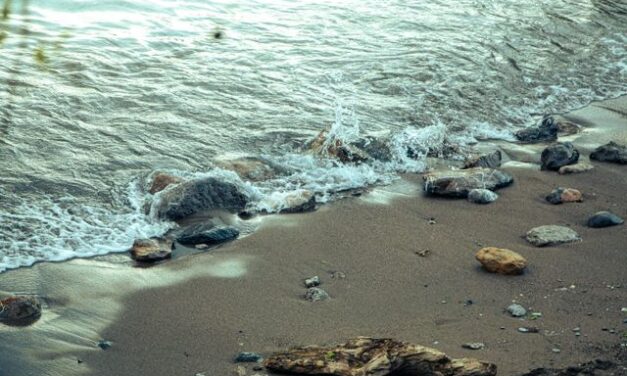 18 Million Pounds and Counting: How Thousands of Volunteers Saved Santa Monica’s Shoreline This Weekend 