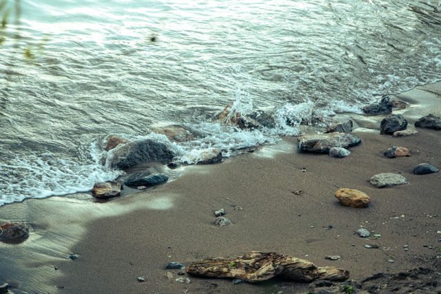 18 Million Pounds and Counting: How Thousands of Volunteers Saved Santa Monica’s Shoreline This Weekend 