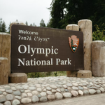 U.S. National Parks Review Visitor Safety Plans Ahead of the Winter Season