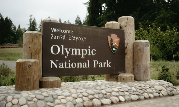 U.S. National Parks Review Visitor Safety Plans Ahead of the Winter Season