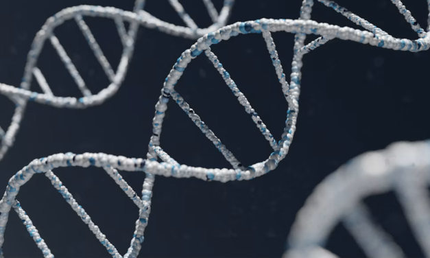 Advanced DNA Techniques Help Investigators Revisit a Decades-Old Chicago Murder