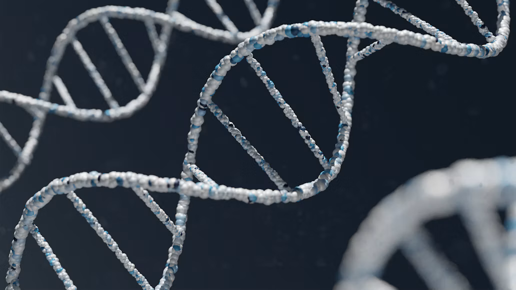 Advanced DNA Techniques Help Investigators Revisit a Decades-Old Chicago Murder