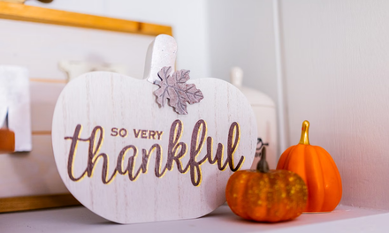 Airlines and Airports Prepare for Increased Passenger Traffic Ahead of the Thanksgiving Holiday
