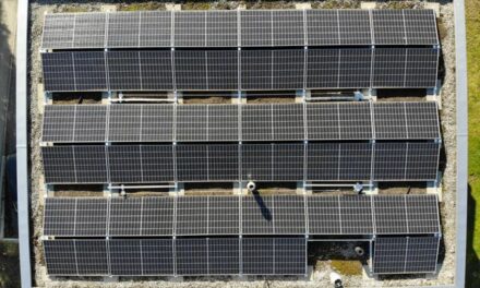 How Chicago Homeowners Are Turning Their Rooftops into Micro-Power Plants and Making the Grid Pay Them
