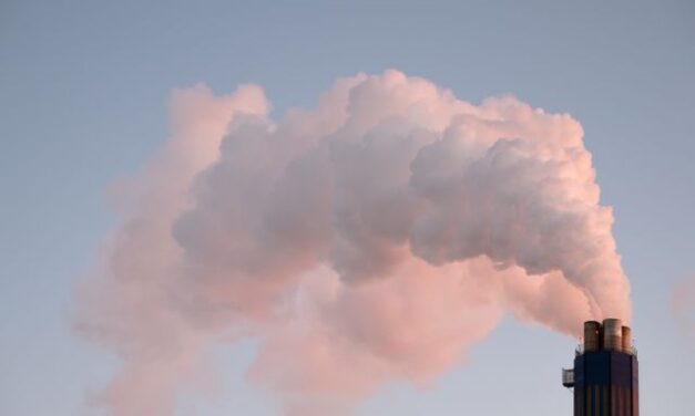 5 Minutes to Toxic Air: Inside California’s Grassroots Push to Stop Schoolside Diesel Idling