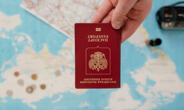300,000 Visas Canceled: Inside the Rapid Escalation of the Federal Immigration Sweep